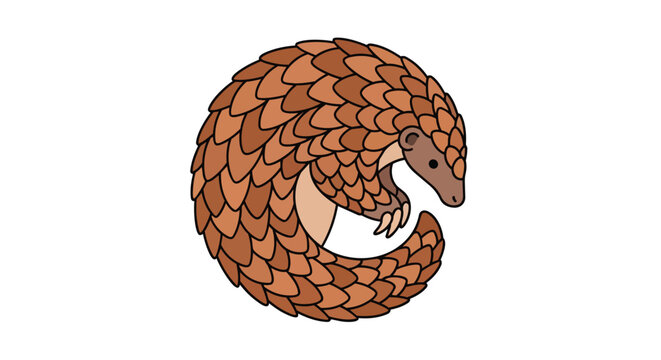 Scaly Pangolin Illustration Curled into a Protective Ball Isolated on White Background