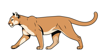 Fototapeta premium Puma Mountain Lion Illustration Walking Side View, Wild Cougar Predator in Motion