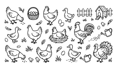 Hand drawn poultry farm doodle icon set with chickens ducks turkeys and organic agriculture elements vector illustration © MdSakib