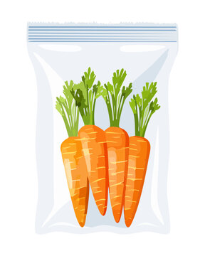 Delicious organic raw garden carrots vegetable bundle stored inside a clear kitchen zip lock packaging bag excellent for supermarket flyer printed graphics - Vector Illustration