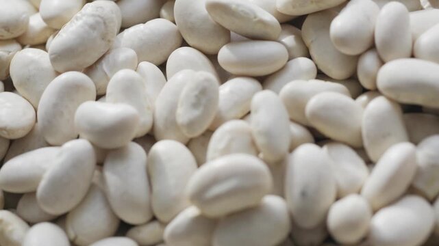 Close-up of raw white Turkish navy beans texture