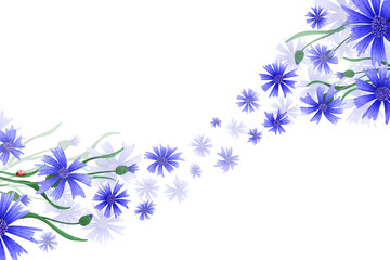 A rectangular frame template with cornflowers and a tiny ladybug for wedding invitations and greeting cards. The blue wildflowers are hand drawn in a simple style. © andrey