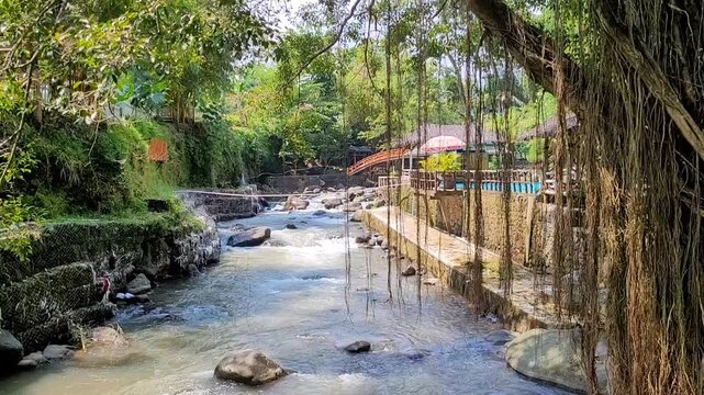 a video river in the peaceful park