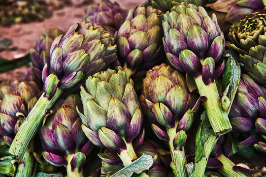 purple globe artichokes for sale at a farmers market