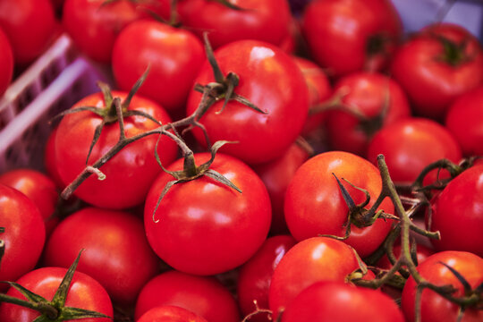Fresh red tomatoes for sale at a farmers market