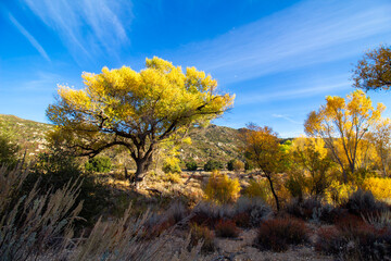 Fototapeta premium California Mountains