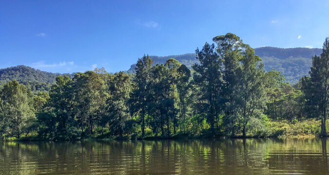 Lush native trees reflecting in calm river, Kangaroo Valley, New South Wales, Australia
