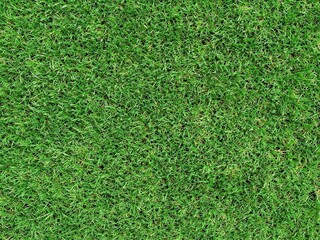Obraz premium Generative AI, Natural Green Grass Texture Background Overhead Lawn Closeup