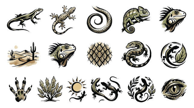 A collection of diverse lizard illustrations, including desert scenes, stylized reptiles, and natural elements like plants and the sun.