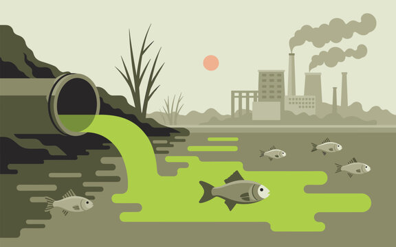Pollution flows into river killing fish and other aquatic life near factory