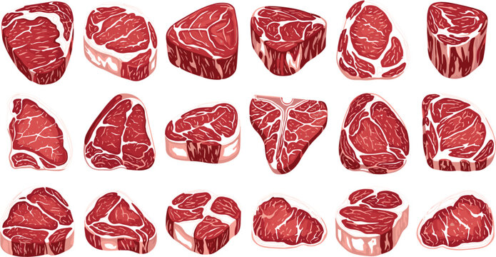 Large Collection of Raw Beef Steak Cuts and Marbled Meat Slices with Various Shapes for Butchery and Culinary Design Vector Illustration