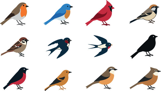 Bird icon set with sparrow robin swallow cardinal finch wildlife collection in colorful flat style for web and app design