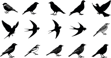 Fototapeta premium Bird silhouette icon set with sparrow crow swallow pigeon flying wildlife shapes in bold black minimal style for design use