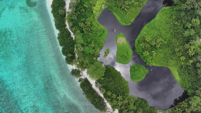 Aerial view of the lush green vegetation and dark inland lake of a tropical island surrounded by turquoise coral reef waters in Kamadhoo, Baa Atoll, Maldives.
