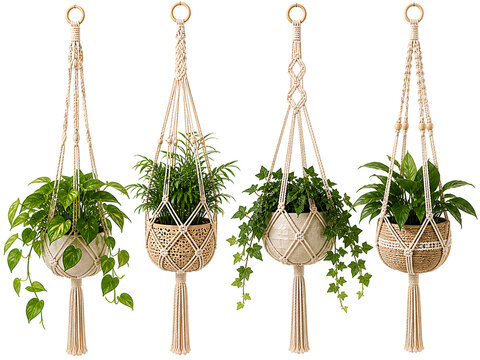 Four decorative macrame plant hangers showcase vibrant green potted plants suspended indoors