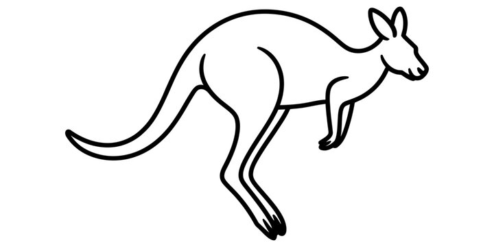 Black and white line art illustration of a jumping kangaroo isolated on white background, Vector, illustration