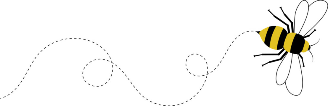 Solitary bee flying path. A bee flying in a dotted line. The flight path of solitary bee. Bee flying on a dotted route. Professional Hand drawn vector. Bumblebee flying on dotted line path happy bee