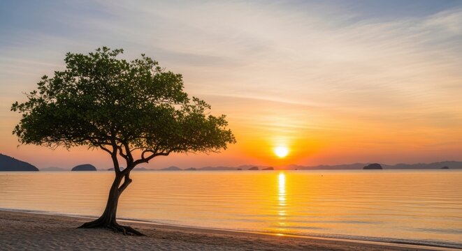 Single tree by the lake at sunset with calm water