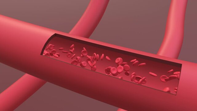 Red Blood Cells flow in the vein animation. Full HD. 4K