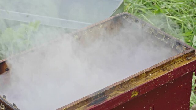 Apis mellifera worker bees (family Apidae) react to smoke from metal smoker using plant fuel, calming colony behavior as beekeeper manages hive, then removes residue and closes lid, static close up