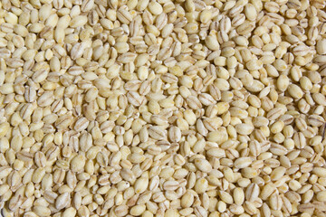 Fototapeta premium It is barley placed close-up