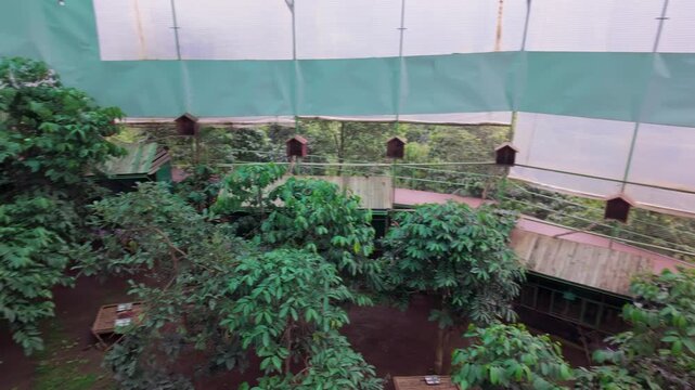 A lush coffee weasel enclosure in  Da Lat, Vietnam., with weasels dotting the landscape, suggesting a focus on biodiversity and sustainable farming practices