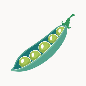 Illustration of a single pea pod with five green peas