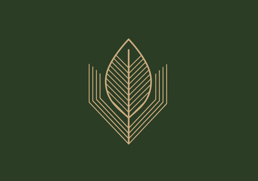 Minimalist gold leaf and book logo on green background