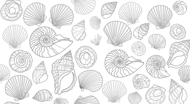 Seamless pattern of various seashells and scallops in black and white outline.