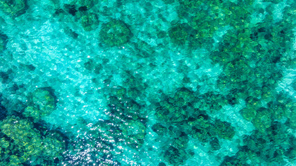 Obraz premium Top view of natural coral formations in shallow sea water with rippling sun reflections, perfect for summer vacation, snorkeling, and environmental conservation themes. concept environment lagoon.