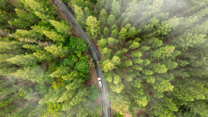 Aerial view of dark green forest road and white electric car Natural landscape and elevated roads Adventure travel and transportation and environmental protection concept  © Media 