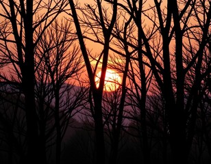 Obraz premium Sunset Over Forest Silhouette with Vibrant Sky