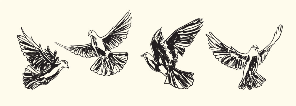 Vintage Dove Set Illustration Flying Birds Antique Peace Symbol Collection