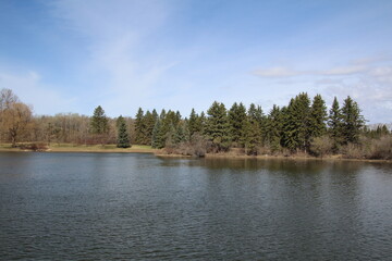 Obraz premium lake and forest, William Hawrelak Park, Edmonton, Alberta