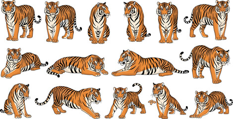 Tiger character set in different poses vector illustration collection wild animal big cat isolated detailed design pack © MstJasmin