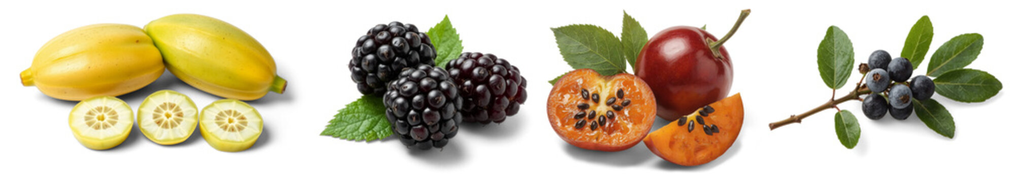  Composition of various fresh ripe fruits isolated on white background, high quality realistic Fruits PNG set and Transparent Background Spaghetti squash, blackberries, Tamarillo fruit, Blueberry.