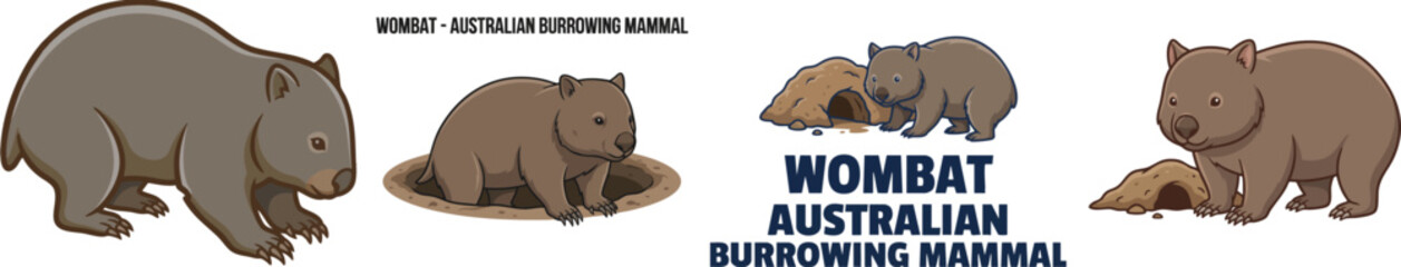 Fototapeta premium Wombat Australian Burrowing Mammal Illustration Set, vector isolated on white