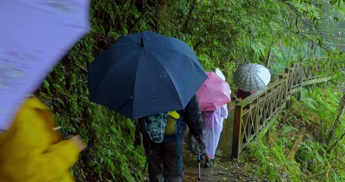 The damp stone steps and tranquil moments for hikers on the Qilan Sacred Tree Trail in Taiwan