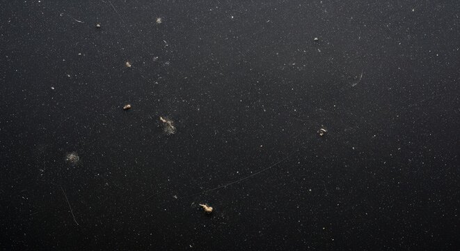 Microscopic white dust particles and lint scatter over a gritty dark black surface Wallpaper Background image