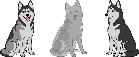 Siberian husky dog illustrations with different poses and expressions realistic cartoon pet vector collection isolated on background © Jahangir