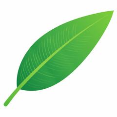 Obraz premium Green Leaf Illustration
