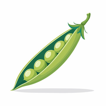 Illustration of a single open pea pod with five peas
