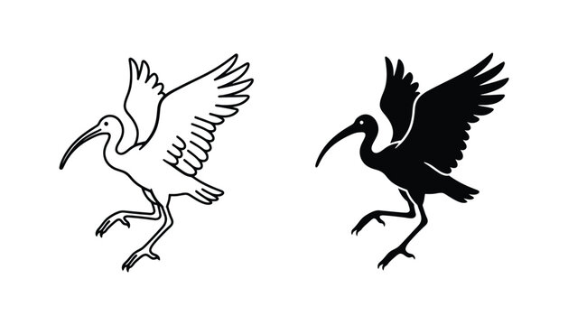 Ibis bird in flight icon set featuring elegant avian silhouette and outline graphics for wildlife and environmental design projects in minimalist black and white vector style