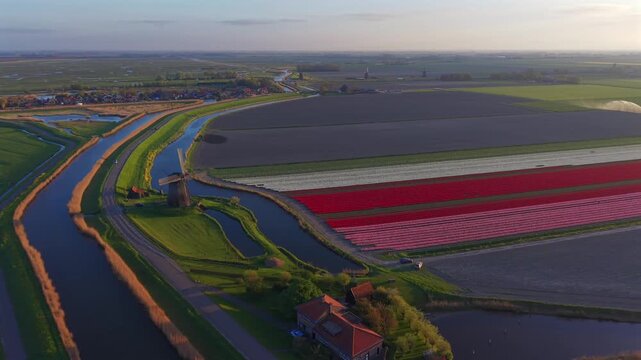 Aerial view of Bovenmolen G windmill standing beside a winding canal and colorful tulip fields under a soft sky in Schermerhorn, Noord-Holland, Netherlands.