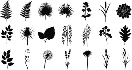 Fototapeta premium Black silhouettes of various plants, leaves, and flowers on white background, plant silhouettes leaf shapes