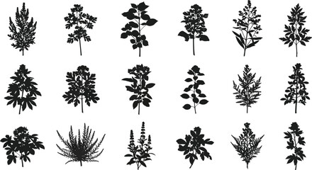 Black silhouettes of various plants and herbs, 16 on white background © Graphic Shops
