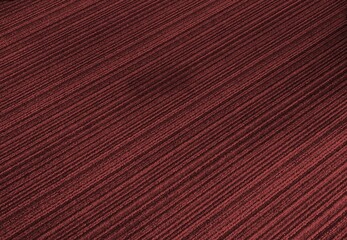 Fototapeta premium Elegant and Modern Striped Texture