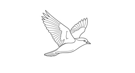 Obraz premium A solitary bird glides through the air with wings fully extended in an elegant display of avian motion, depicted as a sharp black and white outline.