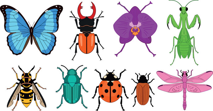 Vector Set of Colorful Insects Including Butterfly, Beetle, Dragonfly, and Mantis for Nature and Wildlife Design