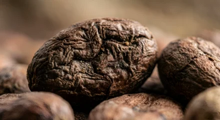 Acrylglasbilder Restaurant close up of COFFE seed  © PADMAWATI